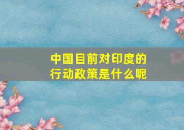 中国目前对印度的行动政策是什么呢