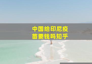 中国给印尼疫苗要钱吗知乎