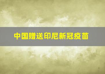 中国赠送印尼新冠疫苗