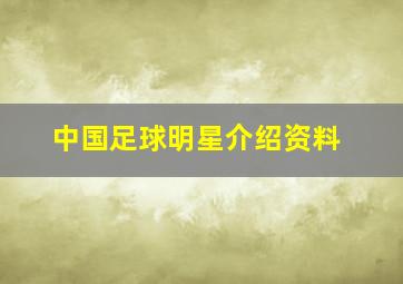 中国足球明星介绍资料