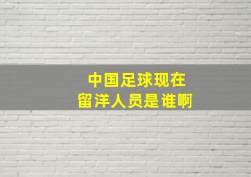 中国足球现在留洋人员是谁啊