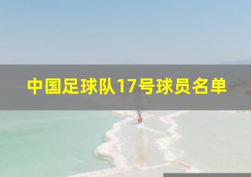 中国足球队17号球员名单