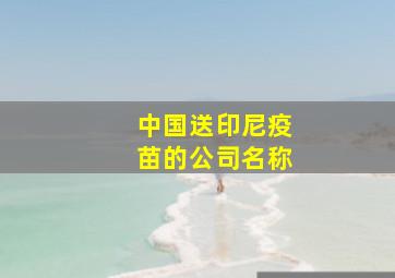 中国送印尼疫苗的公司名称