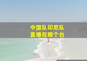 中国队印尼队直播在哪个台