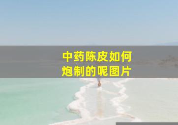 中药陈皮如何炮制的呢图片