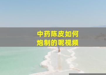 中药陈皮如何炮制的呢视频