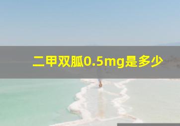 二甲双胍0.5mg是多少