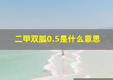 二甲双胍0.5是什么意思