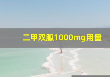 二甲双胍1000mg用量