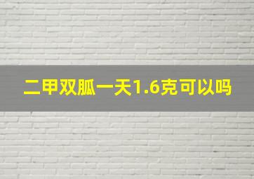 二甲双胍一天1.6克可以吗