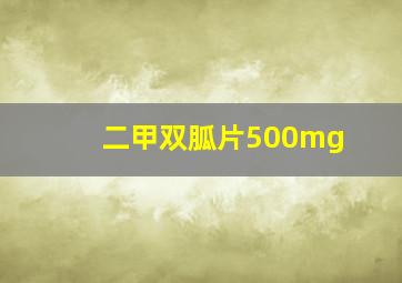 二甲双胍片500mg