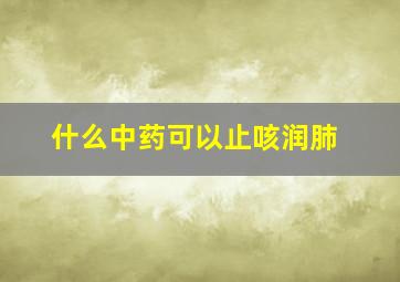 什么中药可以止咳润肺