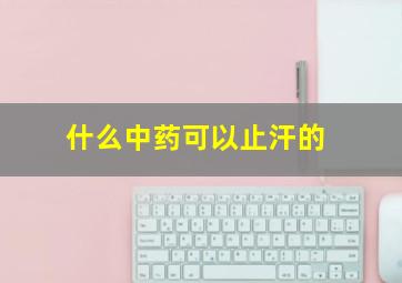 什么中药可以止汗的