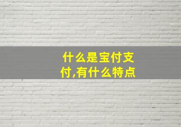 什么是宝付支付,有什么特点