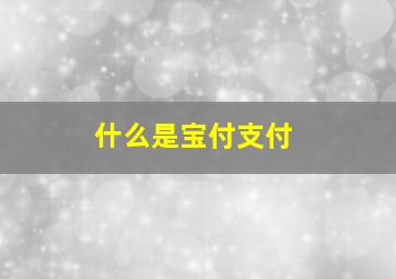 什么是宝付支付