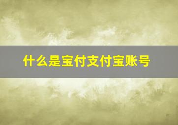 什么是宝付支付宝账号