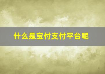 什么是宝付支付平台呢