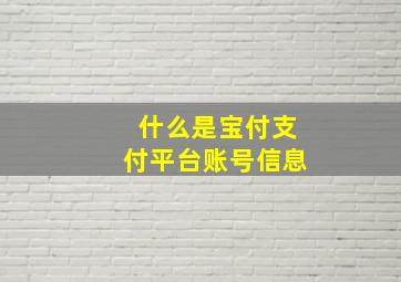 什么是宝付支付平台账号信息