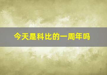 今天是科比的一周年吗