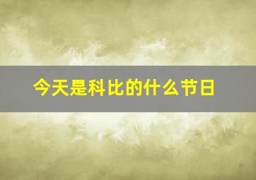 今天是科比的什么节日