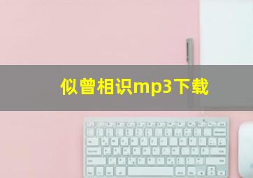 似曾相识mp3下载