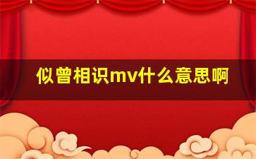 似曾相识mv什么意思啊