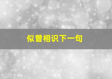 似曾相识下一句