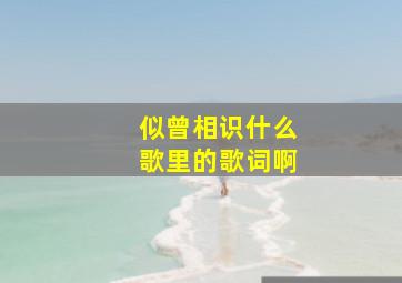 似曾相识什么歌里的歌词啊