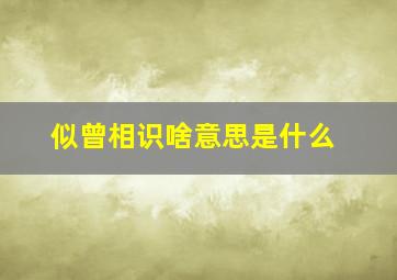 似曾相识啥意思是什么