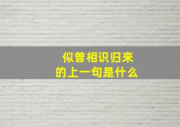 似曾相识归来的上一句是什么