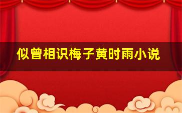 似曾相识梅子黄时雨小说