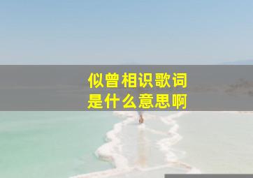 似曾相识歌词是什么意思啊