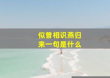 似曾相识燕归来一句是什么