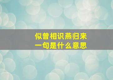 似曾相识燕归来一句是什么意思