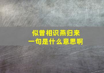 似曾相识燕归来一句是什么意思啊