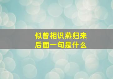 似曾相识燕归来后面一句是什么