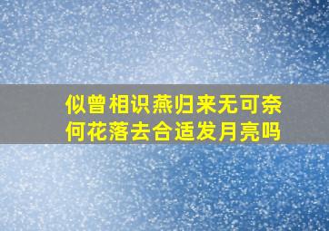 似曾相识燕归来无可奈何花落去合适发月亮吗