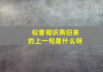 似曾相识燕归来的上一句是什么呀