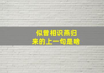 似曾相识燕归来的上一句是啥