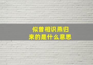 似曾相识燕归来的是什么意思