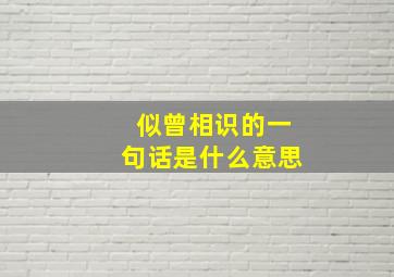 似曾相识的一句话是什么意思