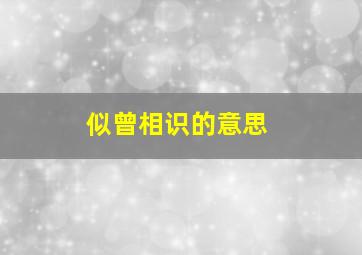 似曾相识的意思