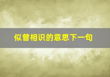 似曾相识的意思下一句