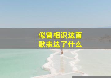 似曾相识这首歌表达了什么