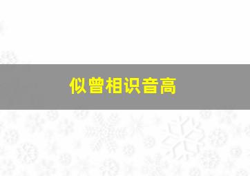 似曾相识音高