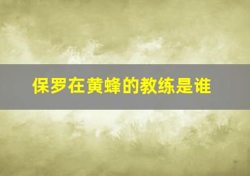 保罗在黄蜂的教练是谁