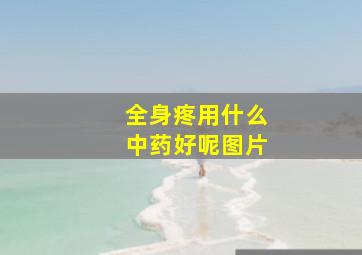 全身疼用什么中药好呢图片