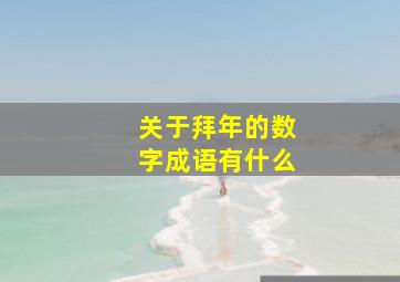 关于拜年的数字成语有什么