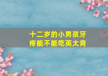 十二岁的小男孩牙疼能不能吃英太青