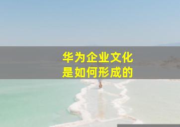 华为企业文化是如何形成的